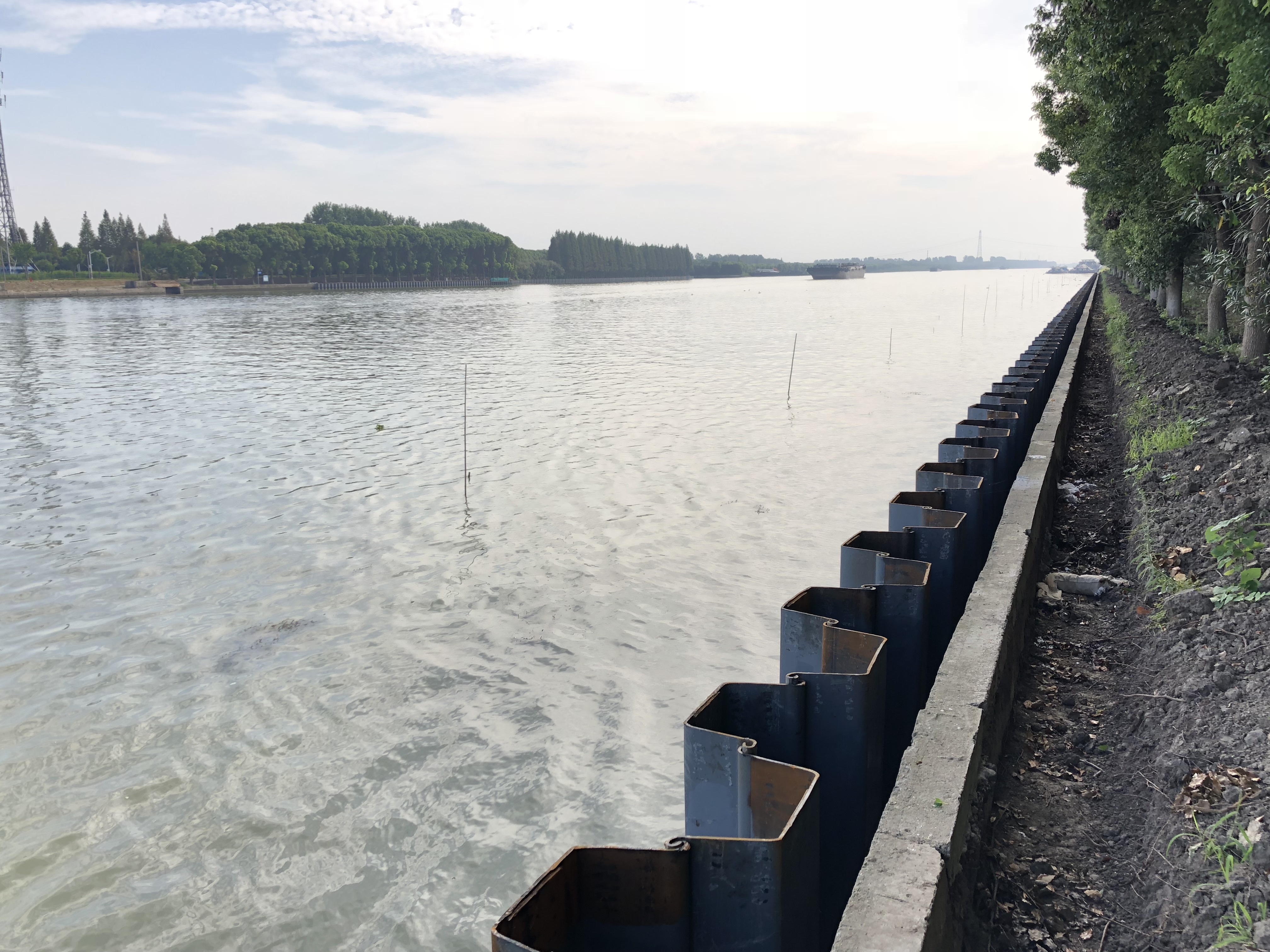 981565319212_.pic_hd